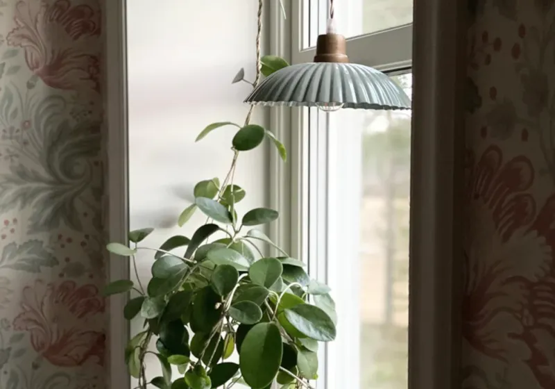 Hängande fönsterlampor