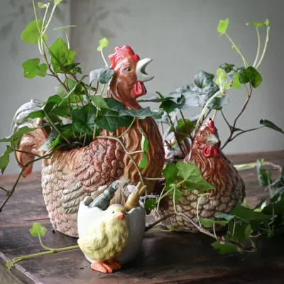Pot hen Perla with green plant on table – Wikholm Form