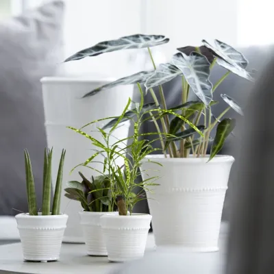 Pot Livia, white, two sizes - Wikholm Form