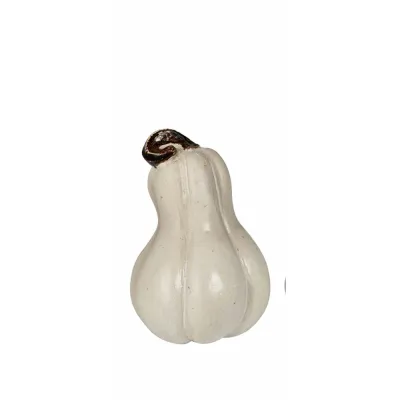 mini-pumpkin-white-high