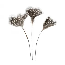 Threaded feathers of guinea fowl feathers in a pack of 12 for Easter