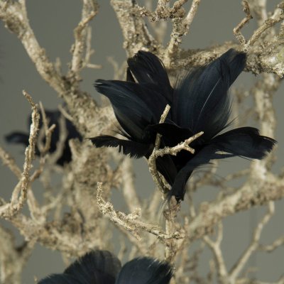 Feather flower, black, 12 pcs - A lot Decoration