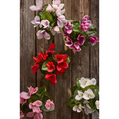 Potted flower Cyclamen, H22 cm, pink - Mr Plant
