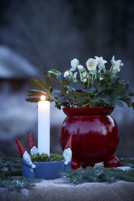 Pot Anya, Red, six sizes - Wikholm Form