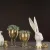 Bunny Gold, two varieties - A lot decoration