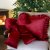 Christmas Decoration Bow in Velvet Cherry - Chic Antique