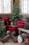 Cushion cover Aix Merry Christmas Cherry - Chic Antique