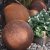 rusty-globe-for-garden-decoration