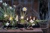 Table candlestick 10 candles, rustic metal - I am interior