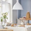 Mynte Kanna, Butter Cream - Ib Laursen