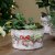 Pot Amélie Rosette & Christmas Ball Cream - Chic Antique