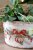 Pot Amélie Rosette & Christmas Ball Cream - Chic Antique