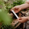 Cultivation stick for writing, white - Strömshaga