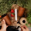 Cultivation stick for writing, white - Strömshaga