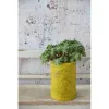 vintage-paint-warm-yellow