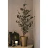 larch-tree