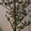 larch-tree