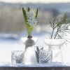 Hyacinth-vase Alea, Frosted White - Wikholm Form