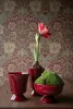 Christmas red Meryl planter arranged together with matching red outdoor pots on a rustic wooden table in front of a dark red pat