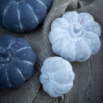 pumpkin-in-grey-concrete