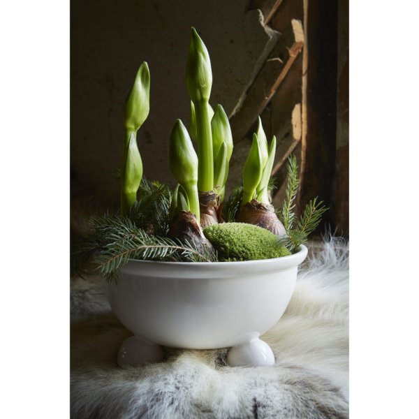 Pot Anya, white, six sizes - Wikholm Form