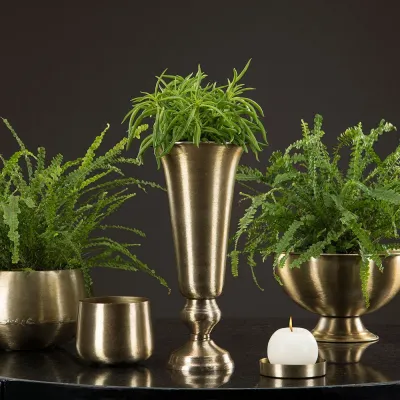 tara-pot-brushed-brass