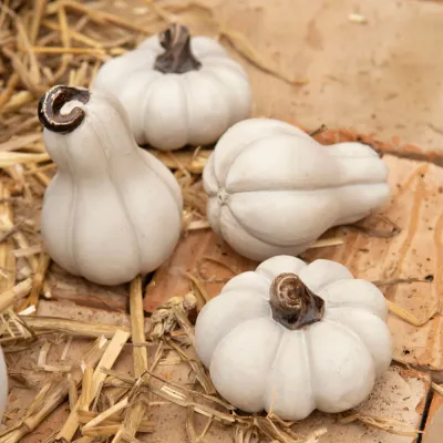 minipumpor-i-vitt-för-höstdekoration