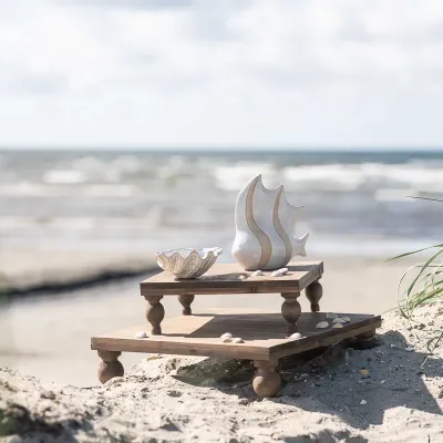 Fat ostron tillsammans med Kruka snäcka placerat på piedestaler på en strand.