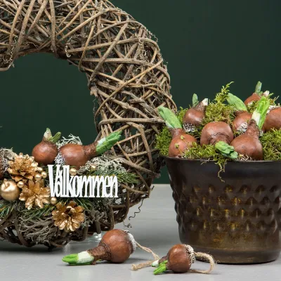 dekoration-blomsterlök-på-stick