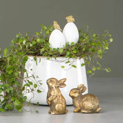 golden-bunnies