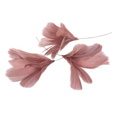 fjäder-blomma-gammelrosa