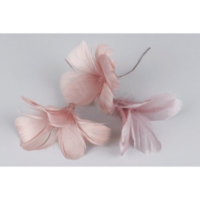 fjäder-blomma-gammelrosa
