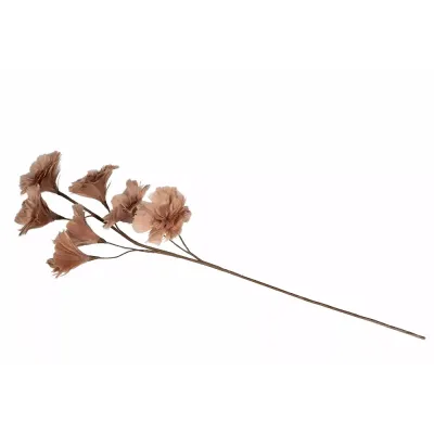 kvist-fjäderblomma-mullvad