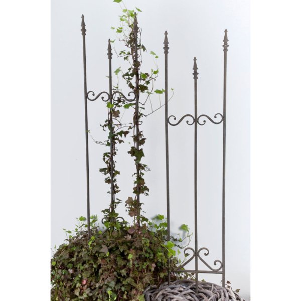 Espalier metal, H117 cm, Greyish Brown - A lot decoration