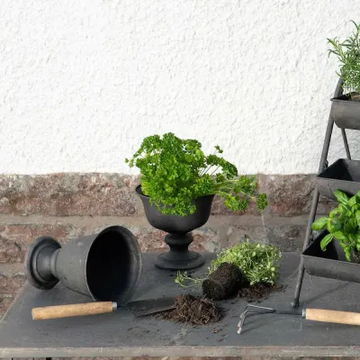 Flower pot on foot in gray-brown metal with parsley planted from A Lot Decoration