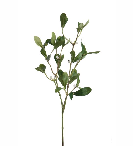 Mistelkvist, H60 cm, Grön