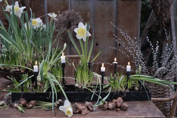 Table candlestick 10 candles, rustic metal - I am interior