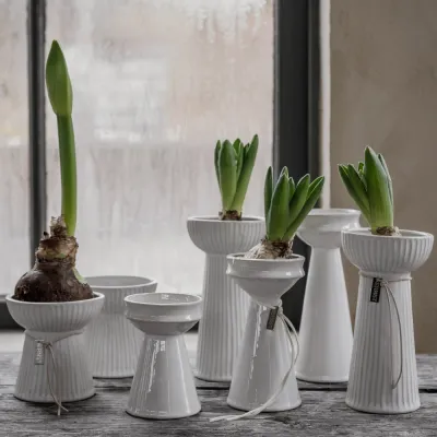 flower-bulb-vases-in-off-white-stoneware