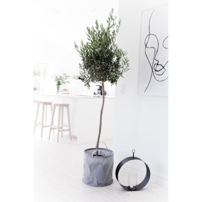korg-grå-plastad-insida-olivträd