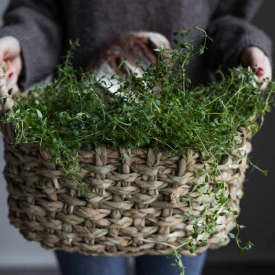 braided-basket-with-handles