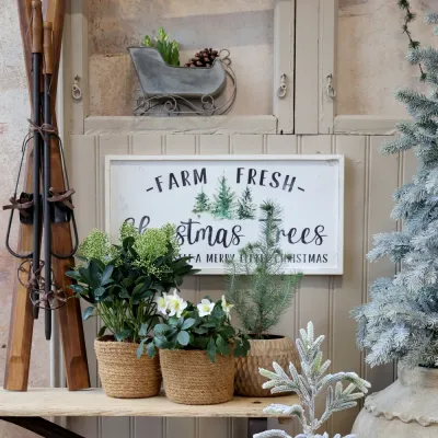 skylt-antikvit-med-gröna-granar-text-i-svart-från-chic-antique