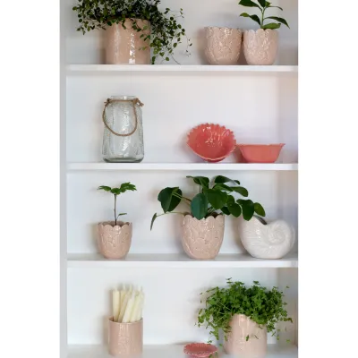 vitt-väggvitrinskåp-marseille