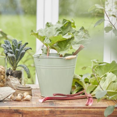 plåthink-i-lackad-grön-metall-med-trähandtag