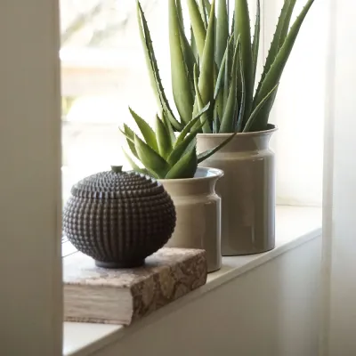 chrysantemum-book-hidden-compartment-brown