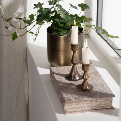 grapevine-book-hidden-compartment-beige