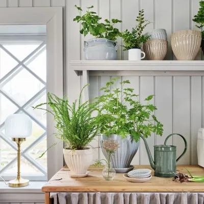 hugo-vattenkanna-mörkgrön