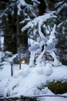 ren-sittande-vit-brun