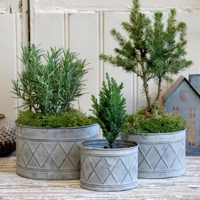 krukset-harlekin-antik-zink-set-om-tre-från-chic-antique