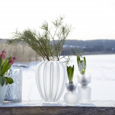 hyacintvas-i-räfflat-och-frostat-glas