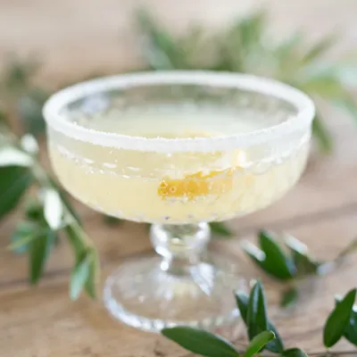 Coupéglas Elly klar, med drink, serverad på bord – Wikholm Form